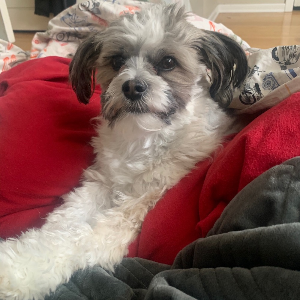 !!!! - Picture 2 of 2